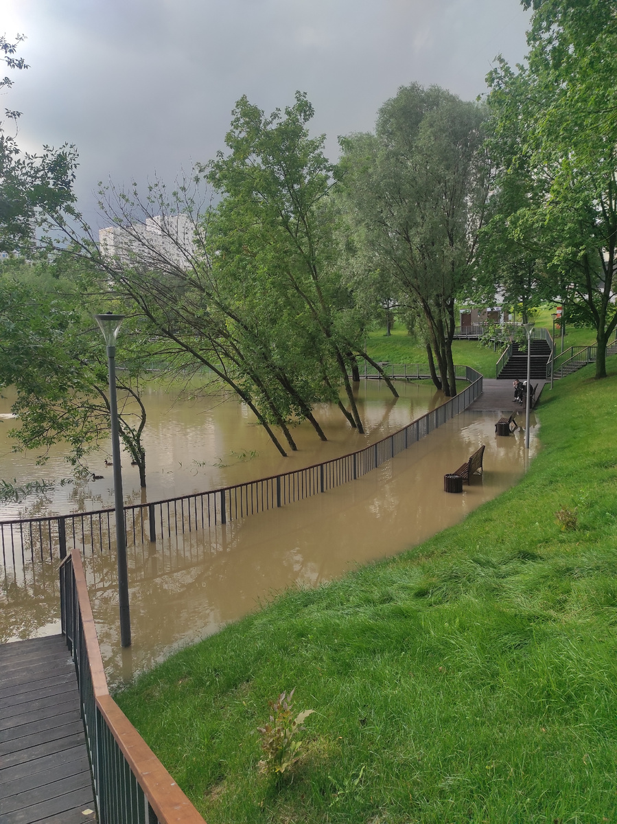 Фото сделано автором 