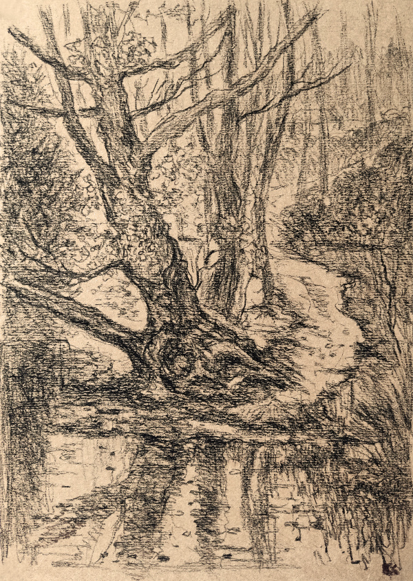 Работа автора