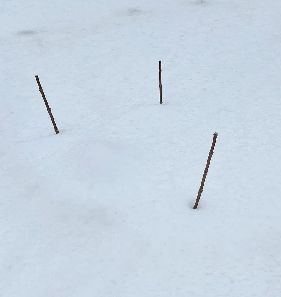 Скоро вот так