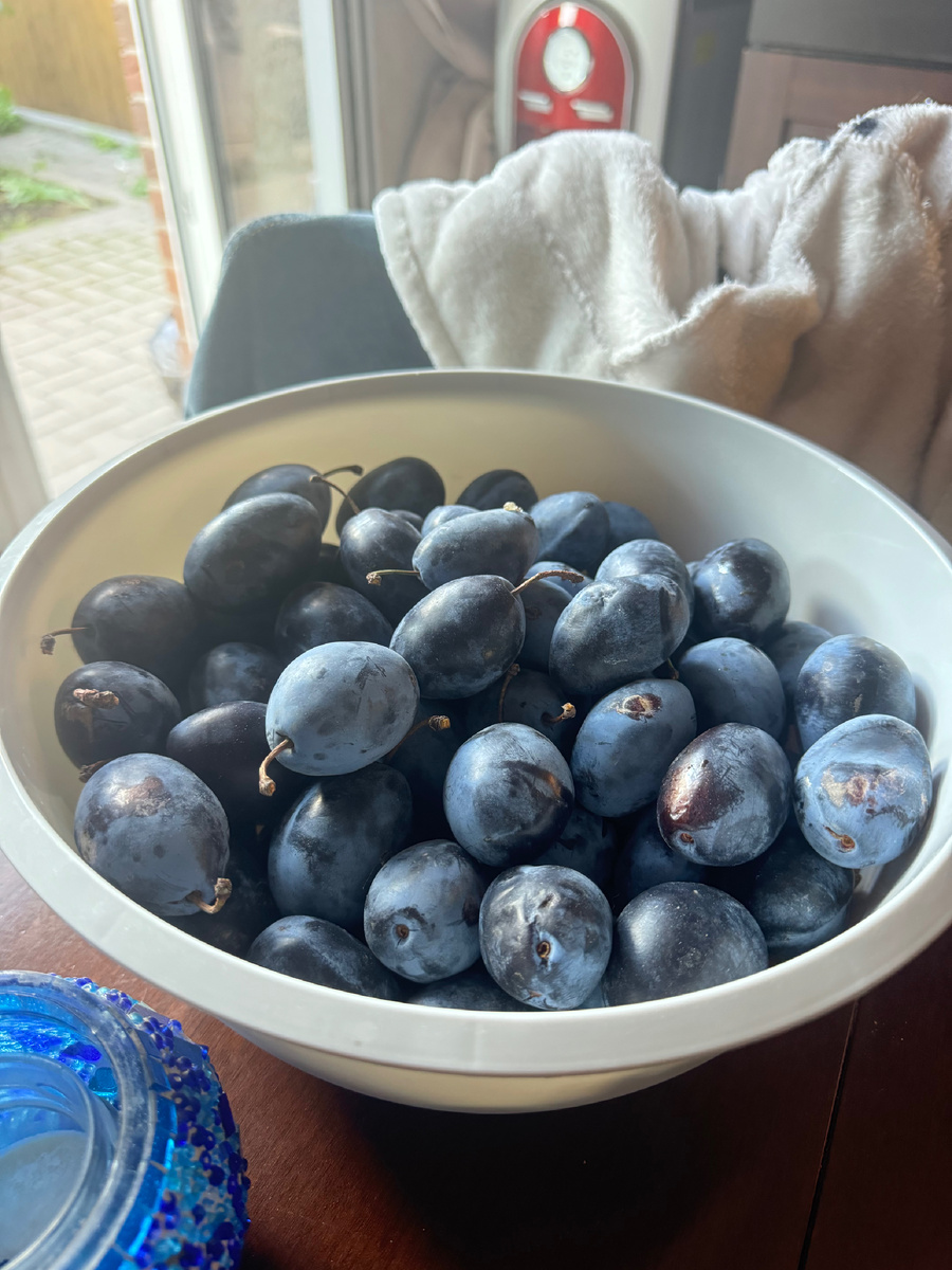 Сливами тоже угостила та же подруга и их я тоже заморожу на пироги, ну и так поедим