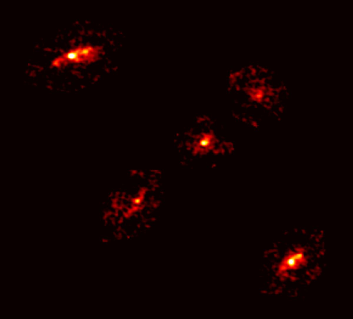 Крест Эйнштейна из копий изображения галактики HerS-3 от обсерватории ALMA. Источник: P. Cox et al. - ALMA (ESO/NAOJ/NRAO)