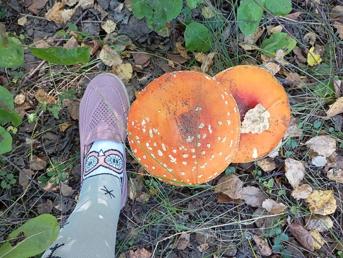 Нижний Новгород, 9 сентября 2025