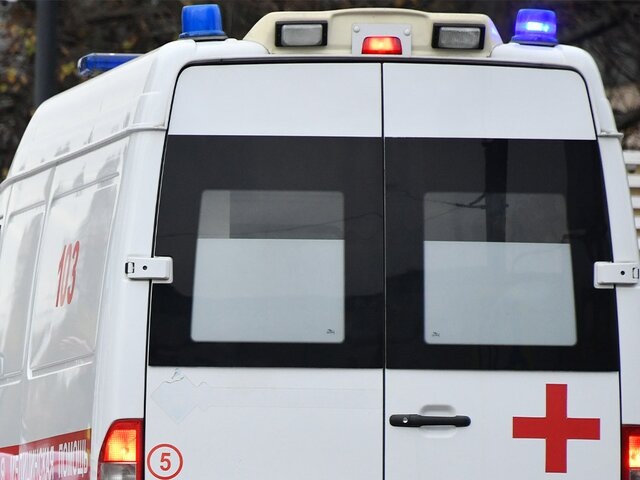    Фото: Москва 24/Антон Великжанин