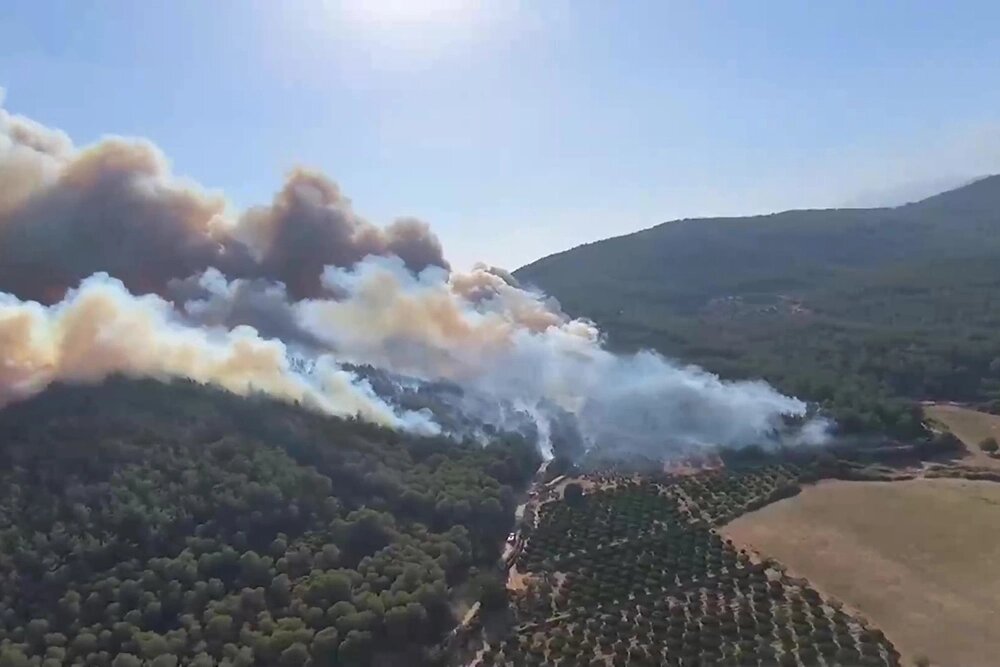    Лесные пожары в Турции. Фото: кадр из видео