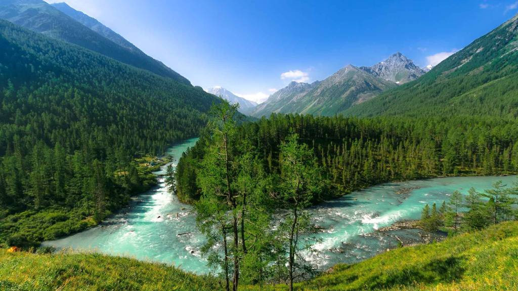 Фото взято из открытых источников