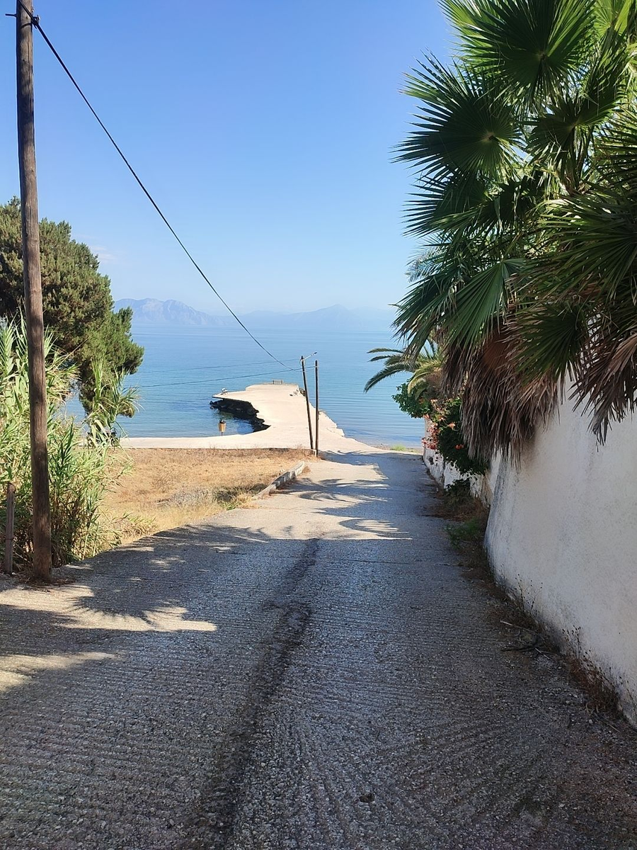 Фото из личного архива автора