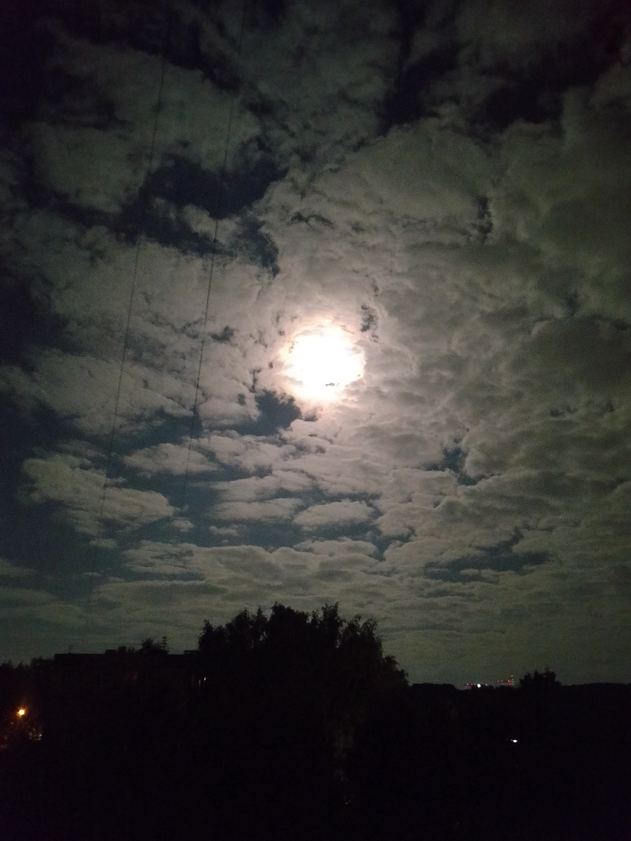 Думаю, это фото подходящее для таких событий