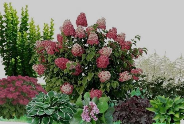 Фото: https://in.pinterest.com/pin/3588874696834039/visual-search/