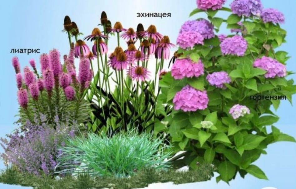 Фото: https://in.pinterest.com/pin/15692298696218211/