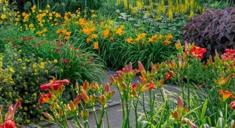 Фото из открытых источников