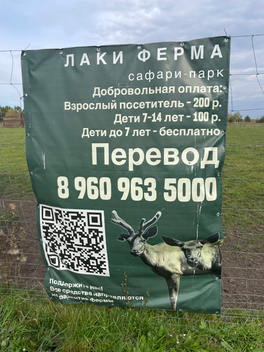 Личное фото автора канала