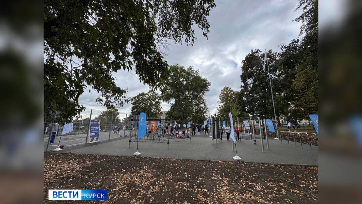    Бесплатный спорт для всех курян