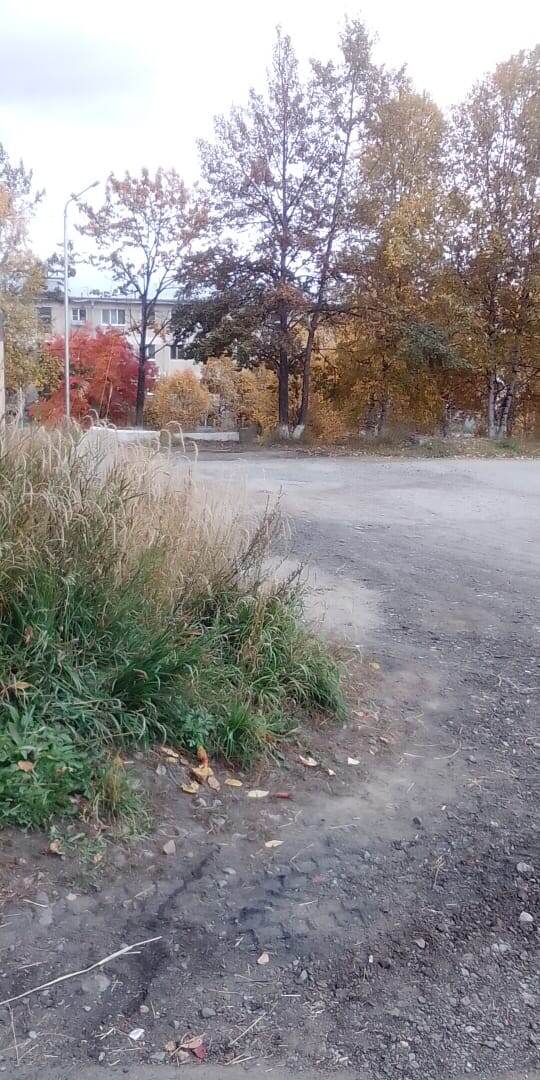 Подруга прислала новые фотографии. На них пока милая осень. Но не за горами суровая зима. 