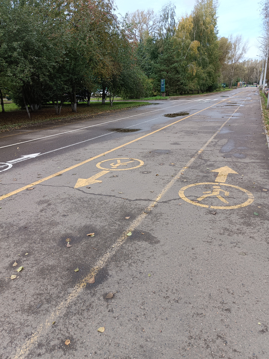 Есть полосы для пешеходов и для велосипедистов и роллеров