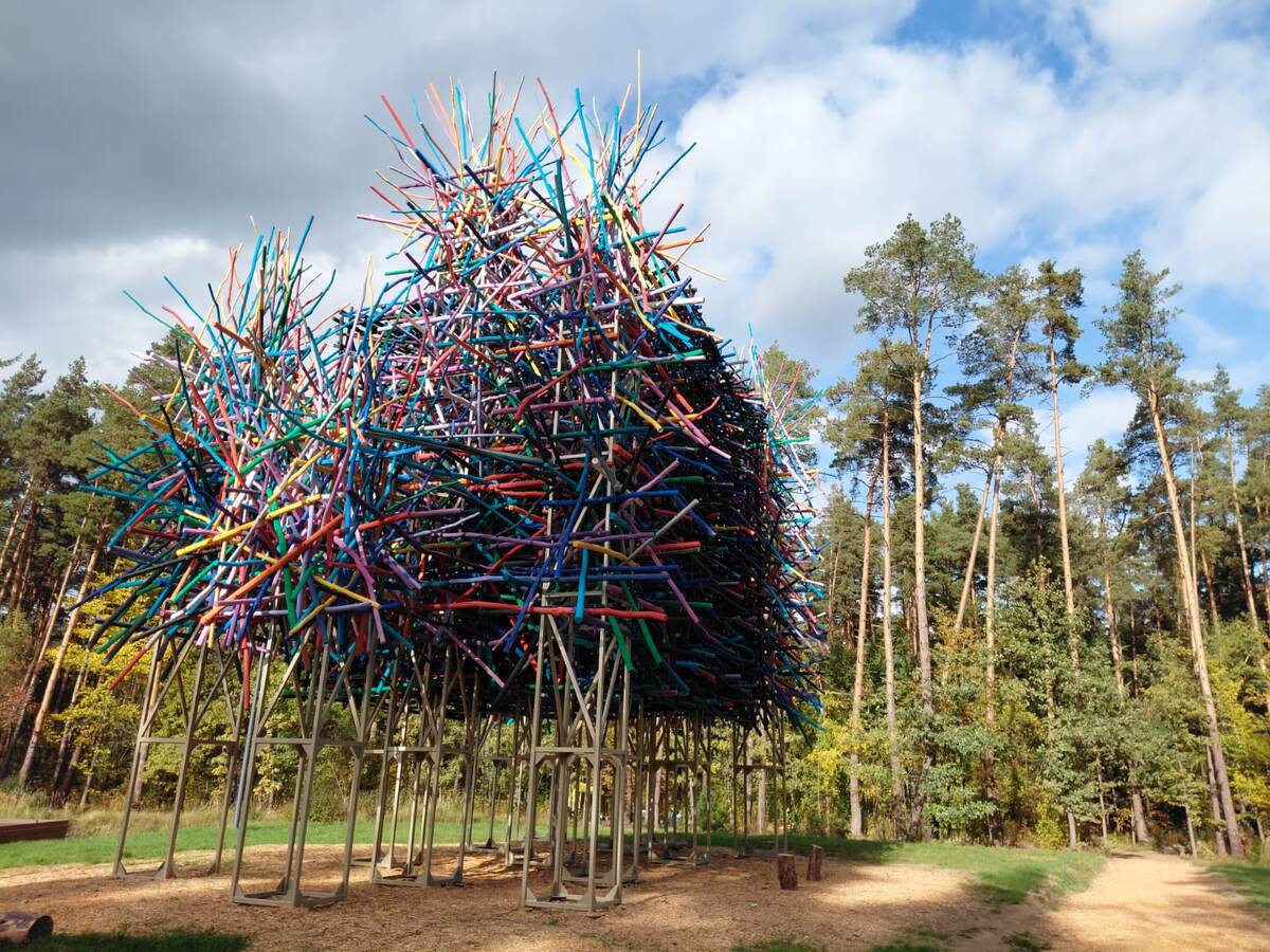 Фото автора. Остальные тоже мои 