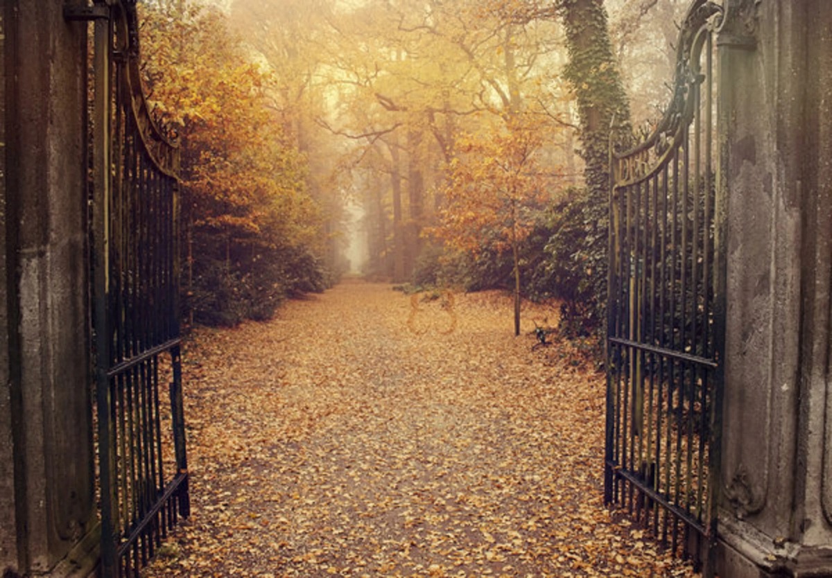 Работа фотохудожницы Элиз Инчантид (Elise Enchanted)