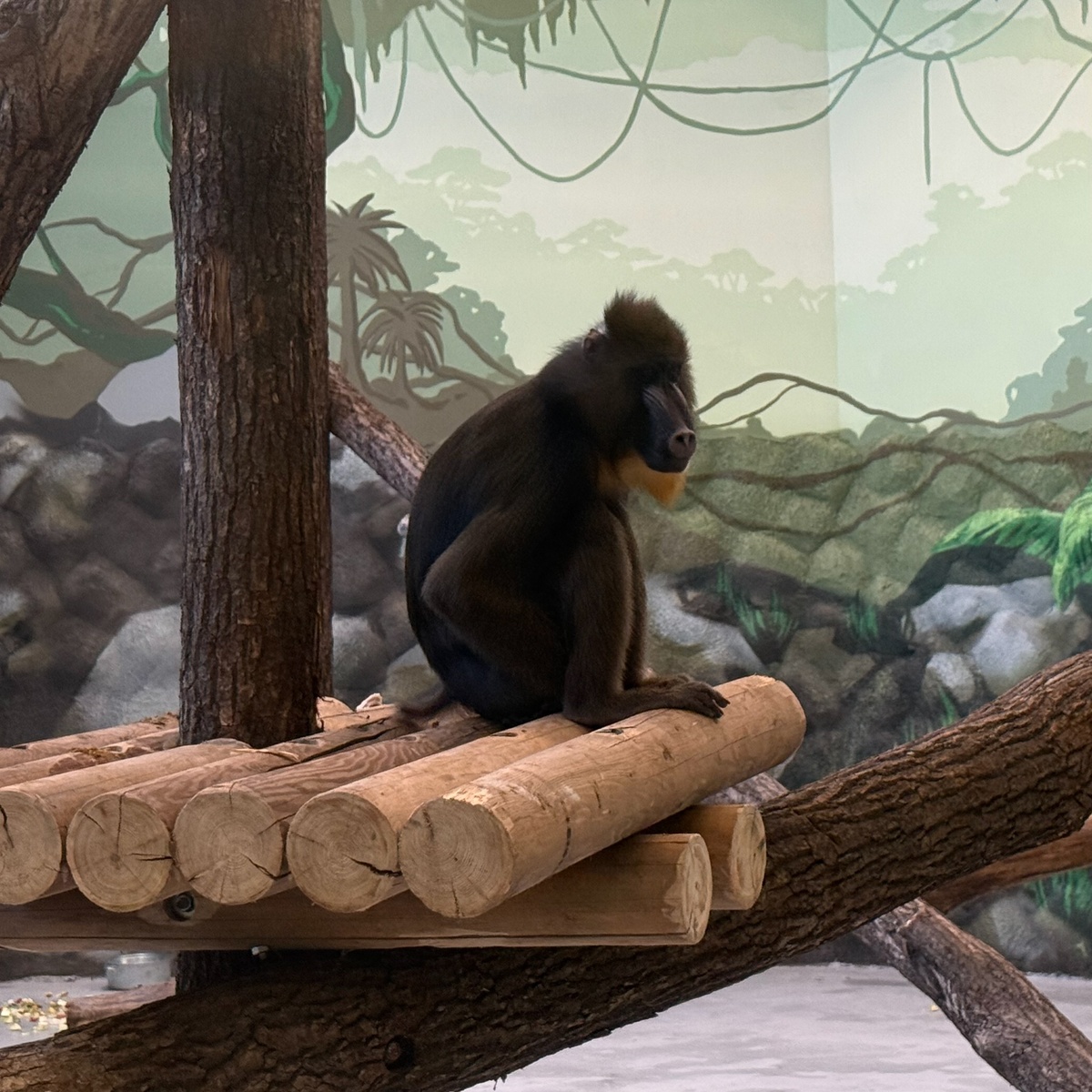    © группа "Пермский зоопарк" ВКонтакте