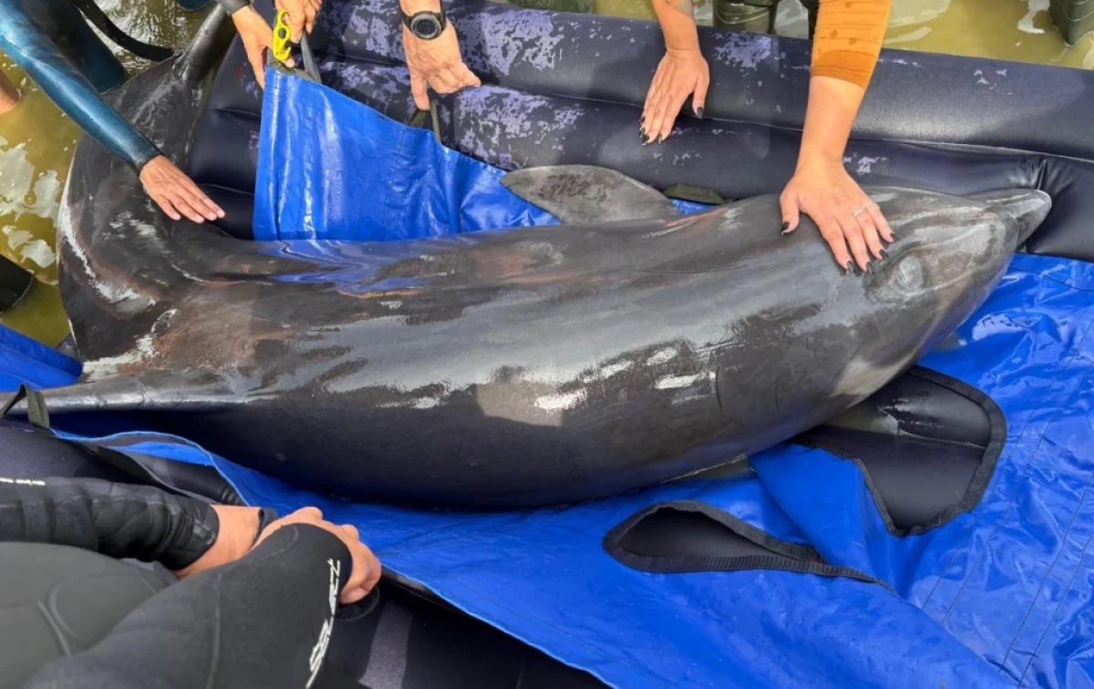 Фото: Росприроднадзор