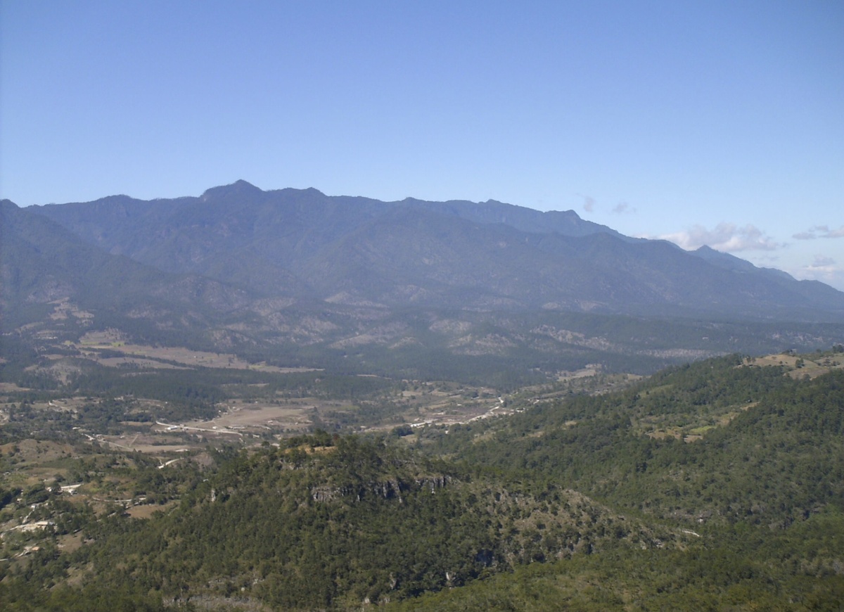 Фото взято с Яндекс.Картинки