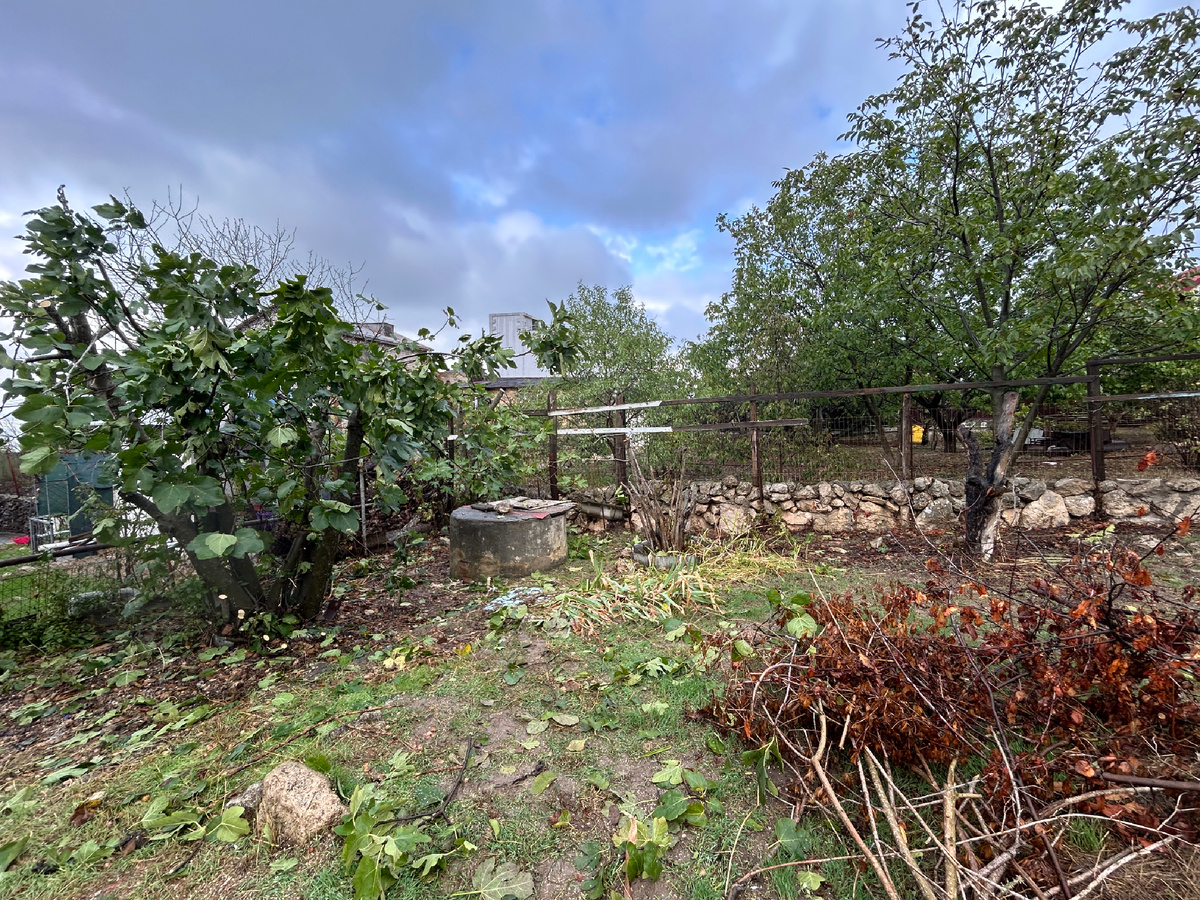 Например, справа торчит ствол, сухие ветки с него я срезала 