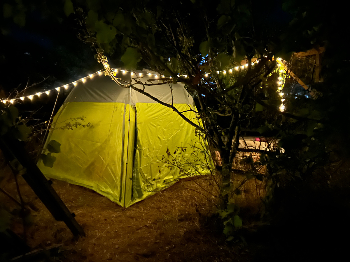 Здесь как раз задействованы полусухие деревья 