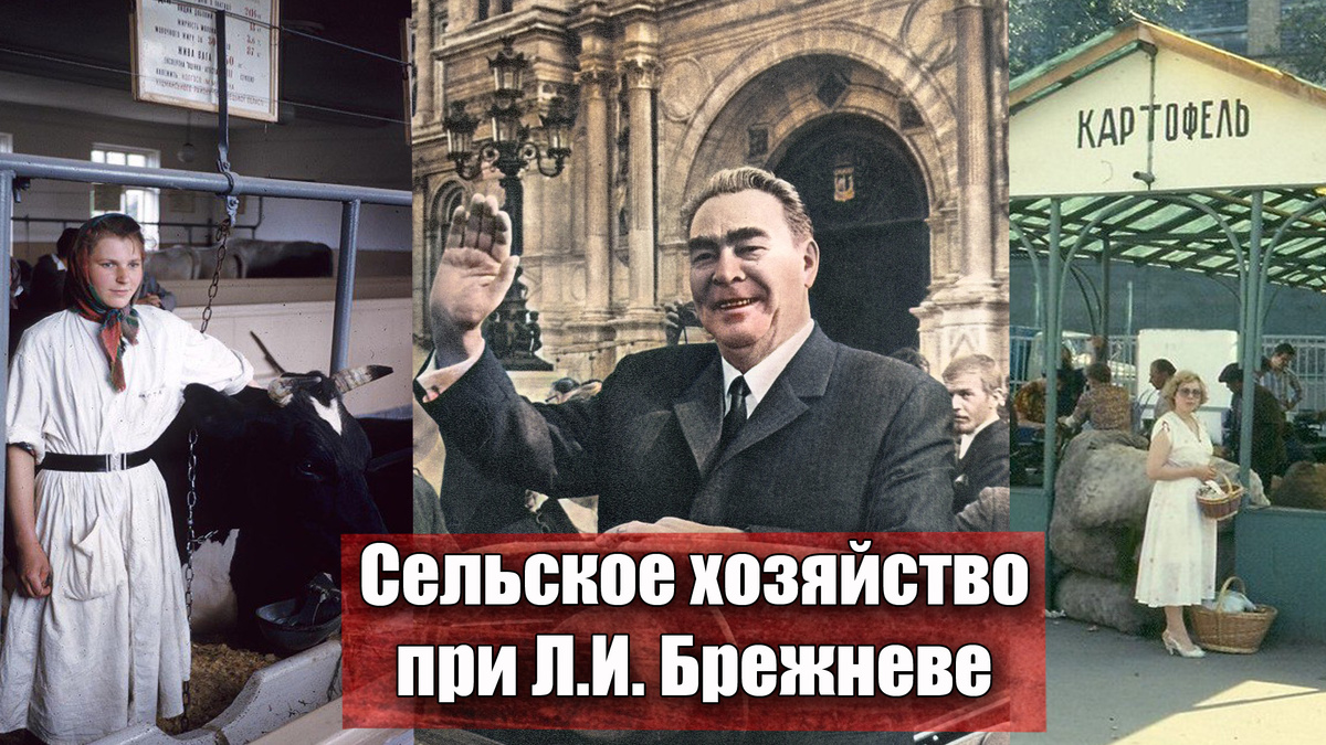 Хватало ли продуктов, хлеба и мяса в эпоху Брежнева в СССР