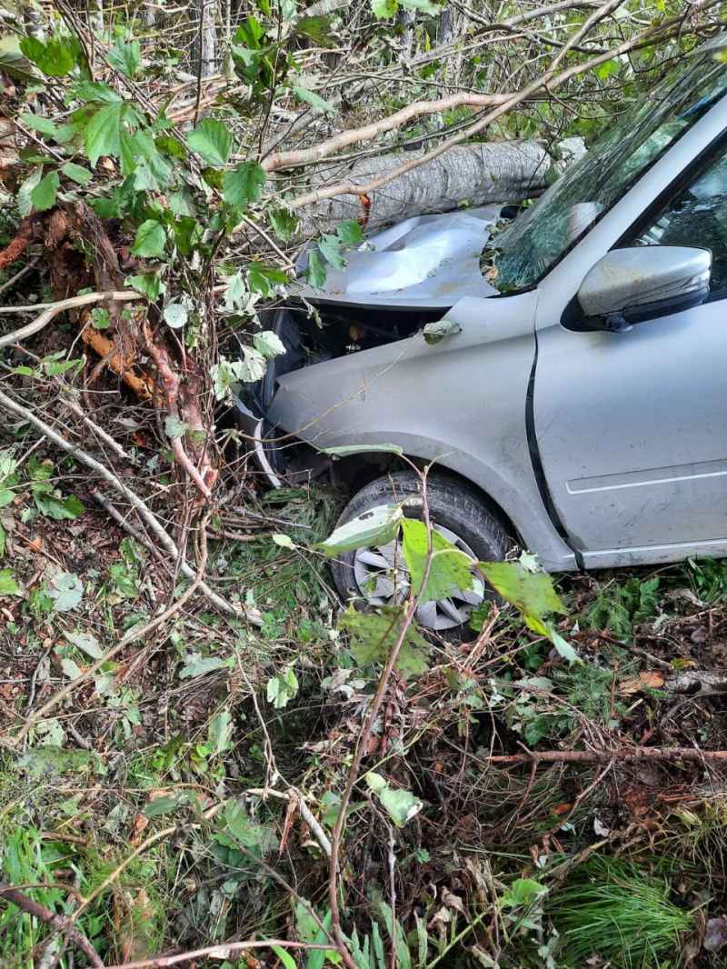    Женщина пострадала в ДТП в Карелии, где автомобиль снес деревьяГоскомитет Карелии по безопасности