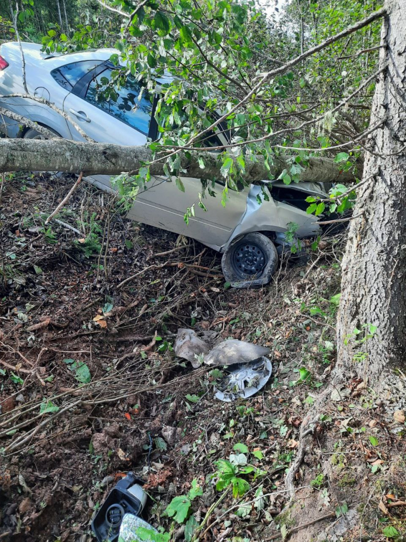    Женщина пострадала в ДТП в Карелии, где автомобиль снес деревьяГоскомитет Карелии по безопасности
