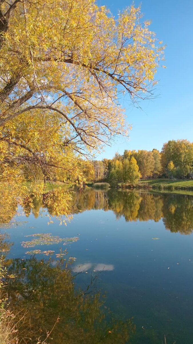 Сегодня ❤️ Облака в озере