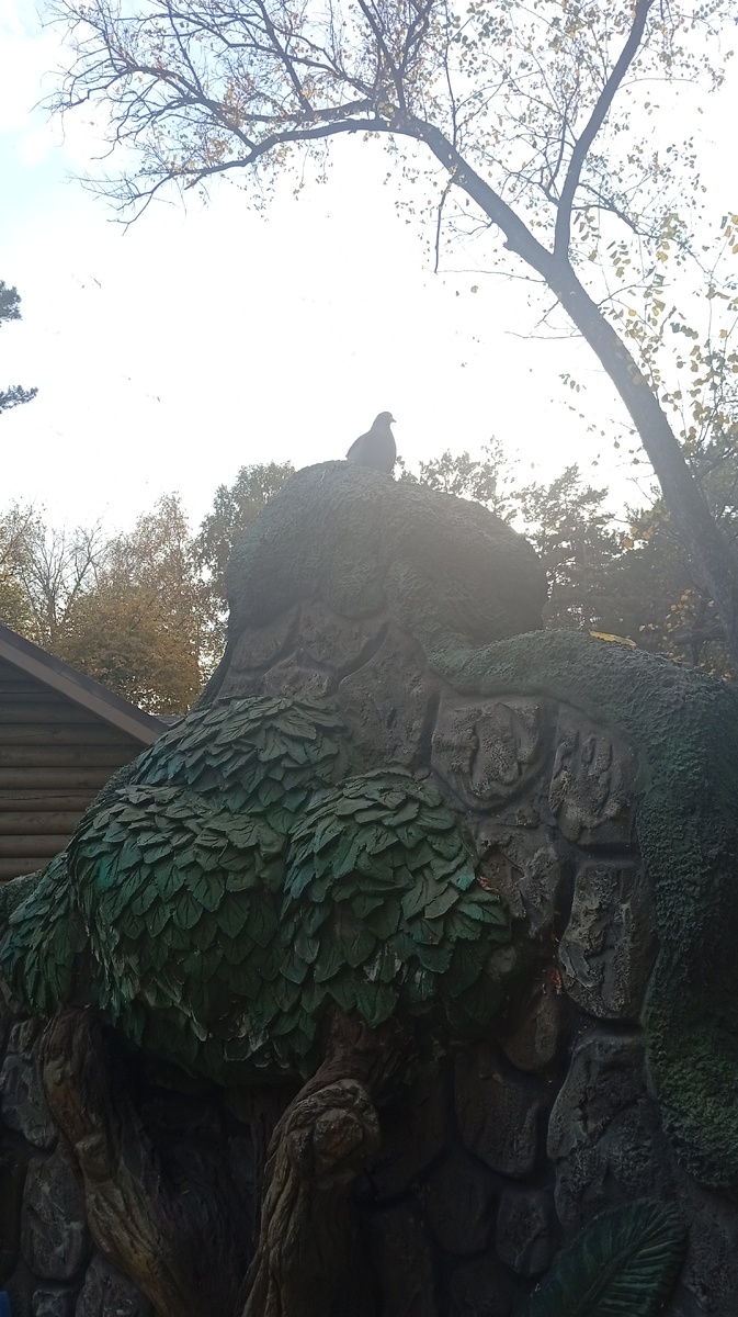 Это не статуя, это голубь. Может даже и социопат. 