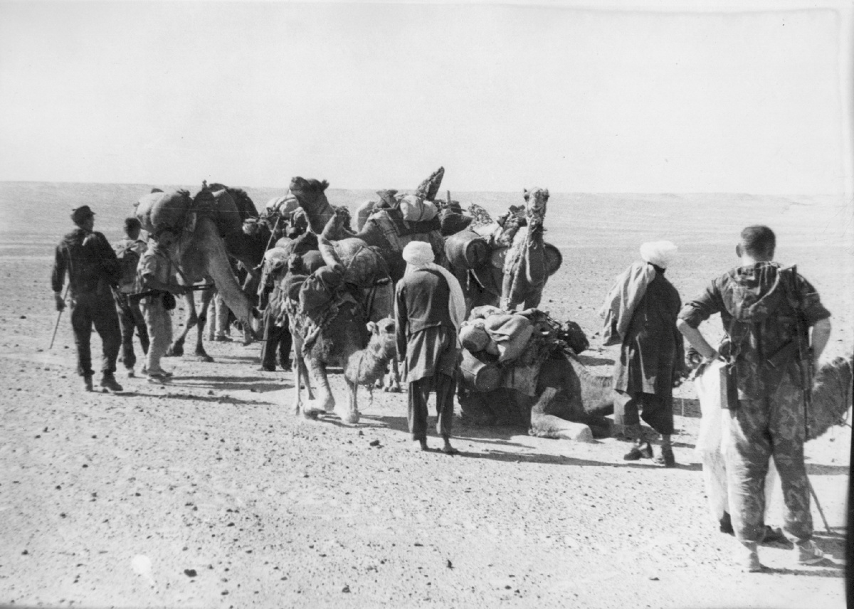 Досмотр каравана разведчиками 370-отряда армейского спецназа. Афганистан