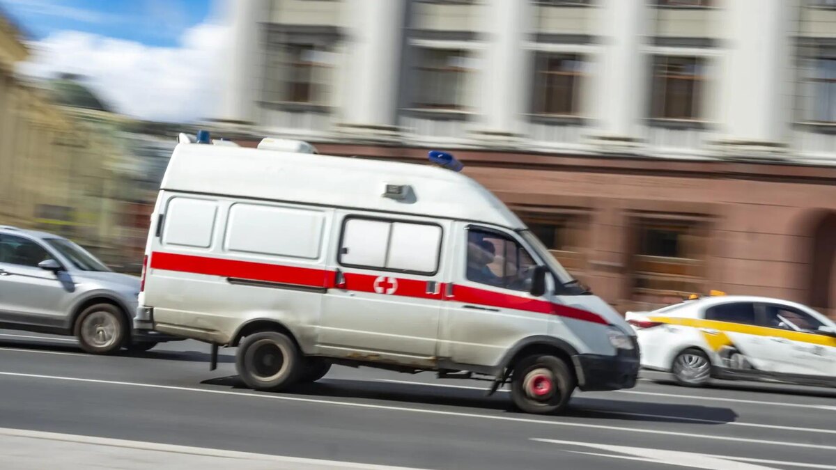    Фото: ИЗВЕСТИЯ/Константин Кокошкин