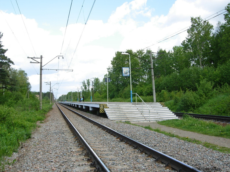 Пассажирская платформа островного типа в Осельках. Фото: Д. Верёвкин, 06.06.2012 
