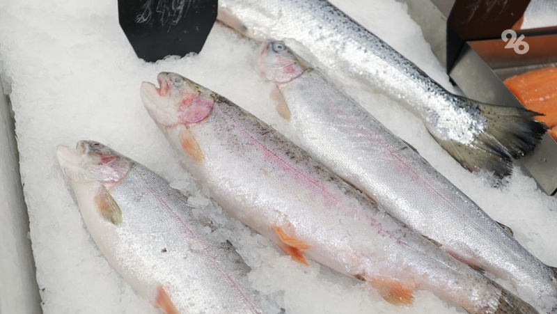      Фото: Дмитрий Ахмадуллин / ИА «Победа26»