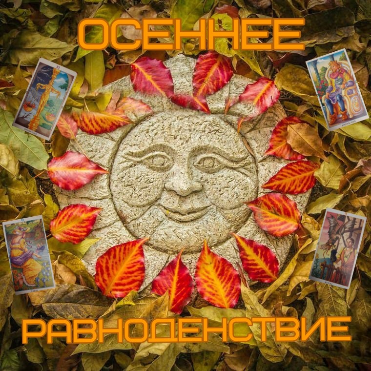 коллаж ЕлВита