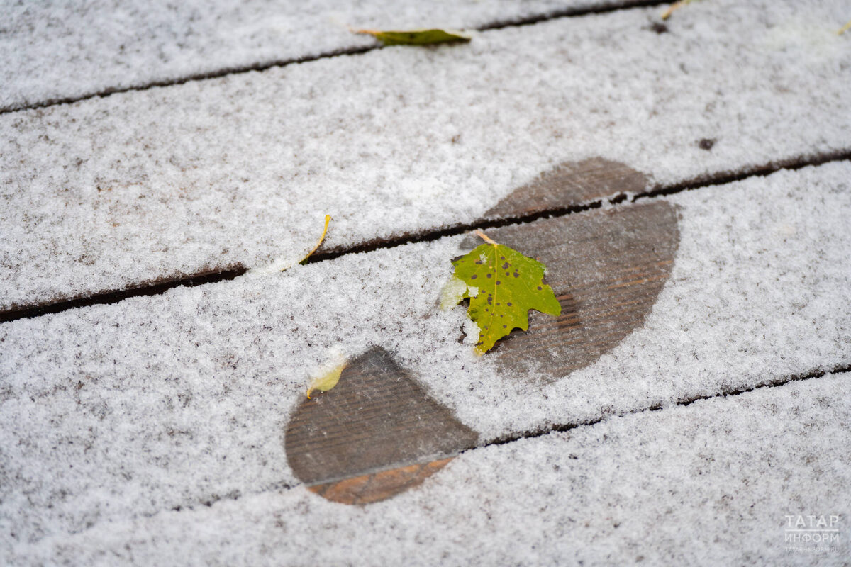 Фото: © Владимир Васильев / «Татар-информ»
