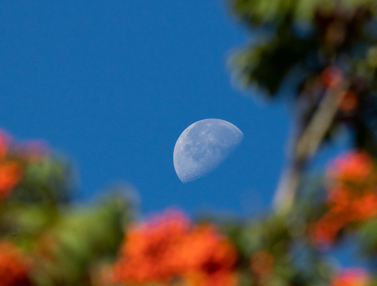 Есть луна клубничная, а есть рябиновая!