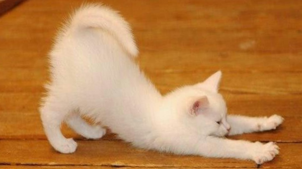 Как хорошо с утра размяться!