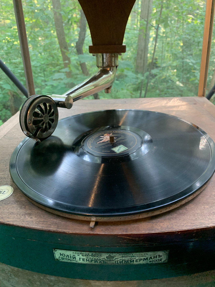 Музей-усадьба И.Е.Репина «Пенаты»