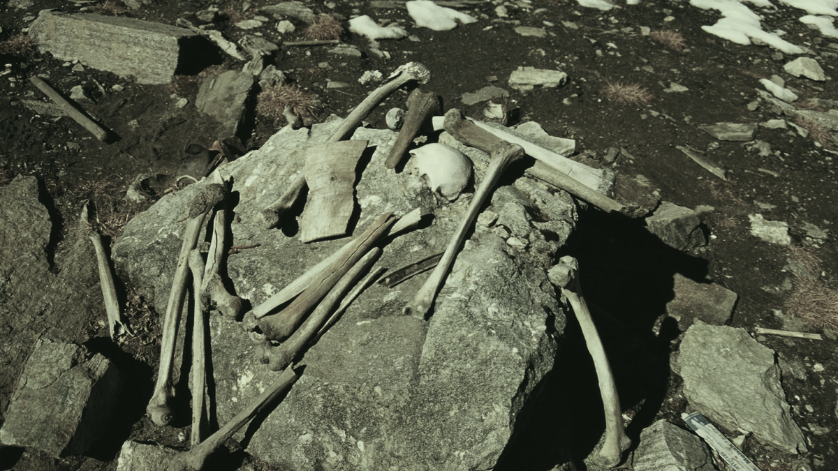 1942 год. Первые свидетельства. Тогда тайну только предстояло разгадать...