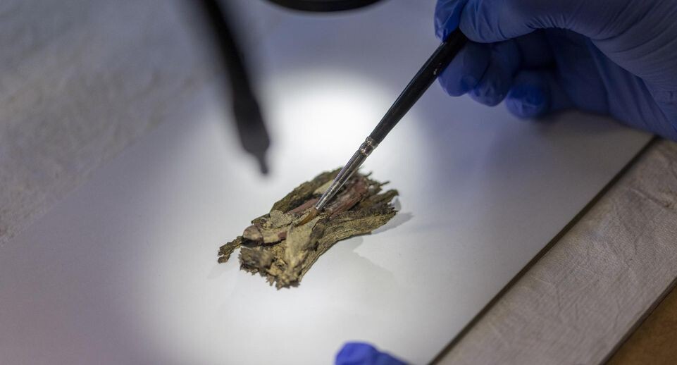    Thomas Banneyer/dpa / www.globallookpress.com