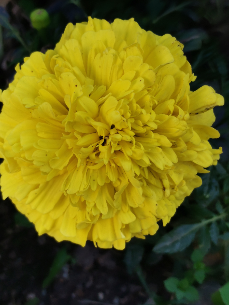 Властно то, что привлекает внимание! Яркость, форма, контраст...