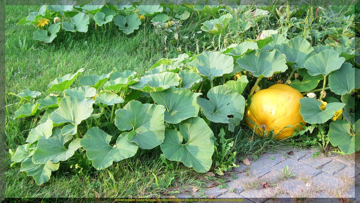 https://vk.com/photo-159774511_457272726
