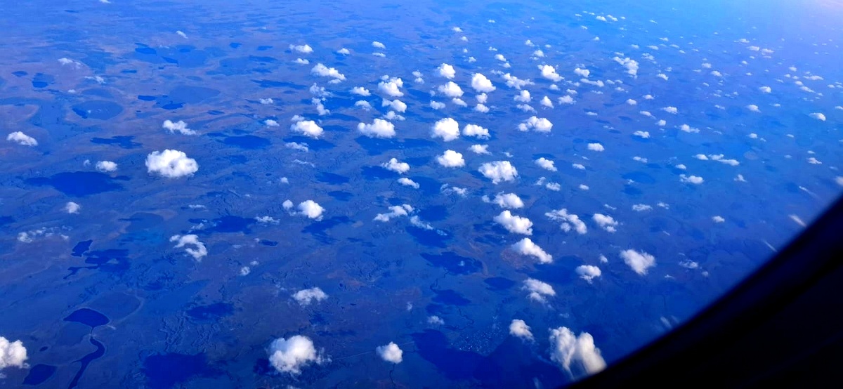 и вдоль тянутся и поперек