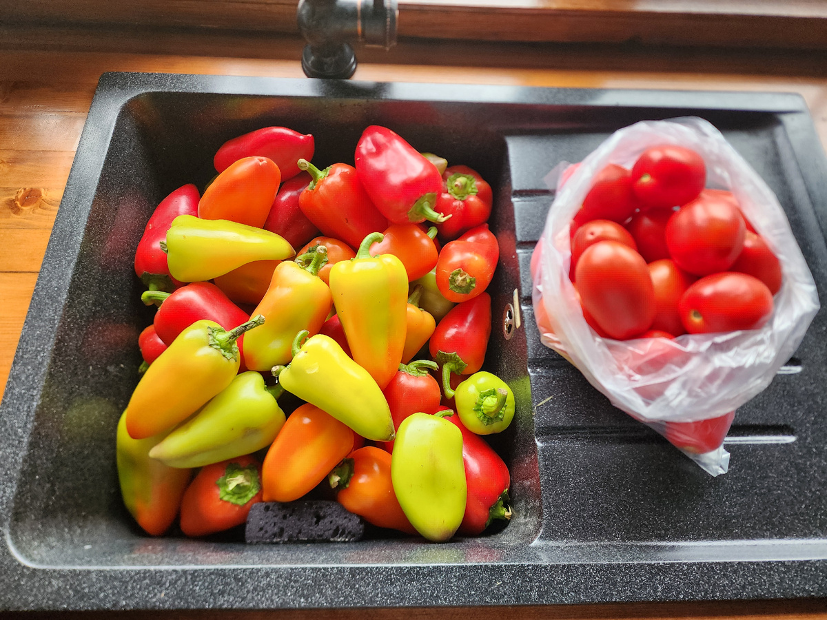 В этот раз я готовила две порции лечо, закупила 7 кг перца и 20 помидор-сливок. После удаления плодоножек остается около 6 кг очищенного перца. 