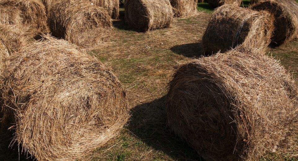    Медиасток.рф