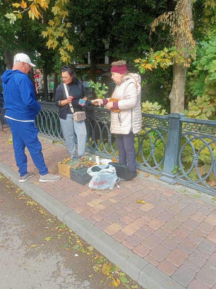 Местные продают инжир