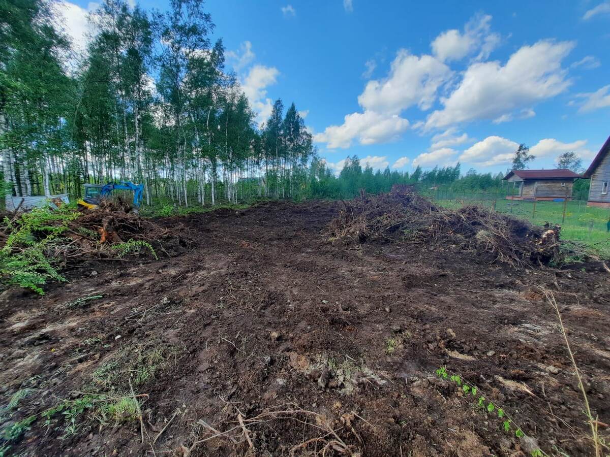 Фото: pesok-kirovsk.ru