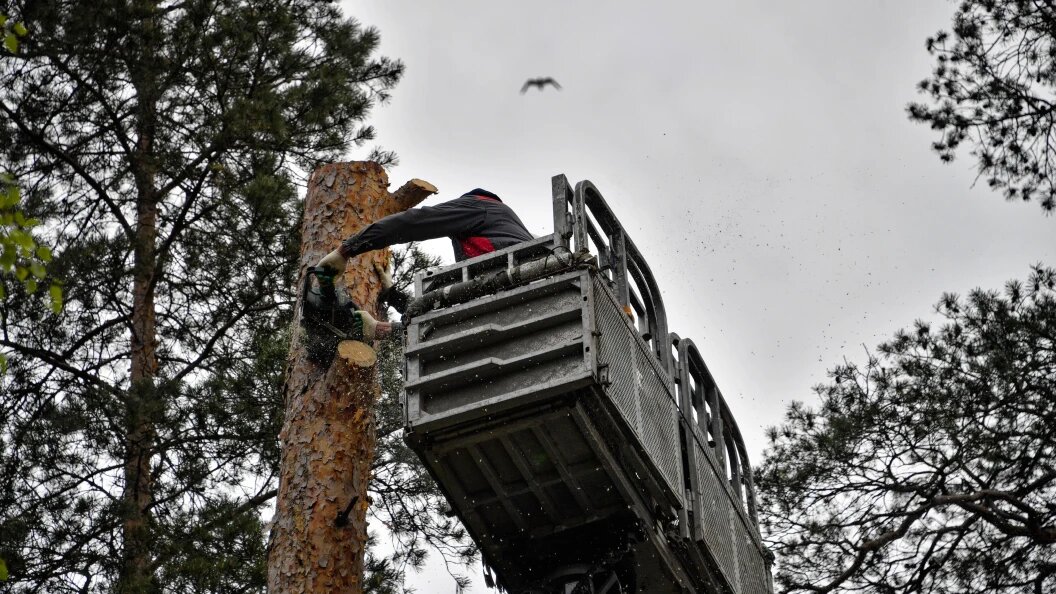    Фото: Komsomolskaya Pravda/Global Look Press