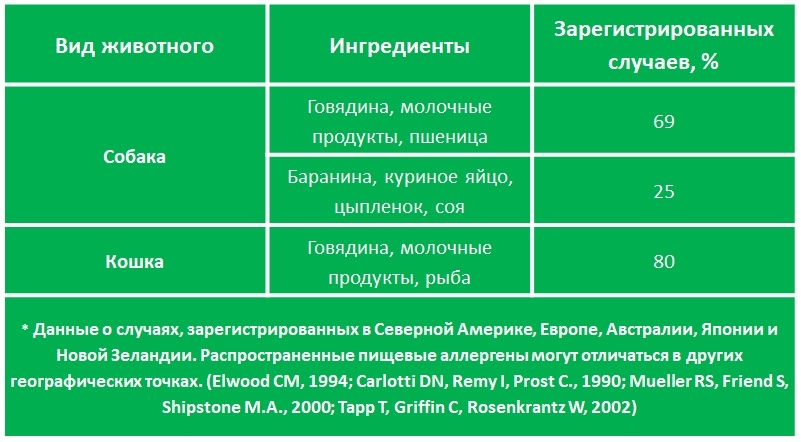 Создать карусель